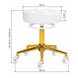 Taburet profesional Gabbiano D054G, alb/auriu 5895019 foto 3