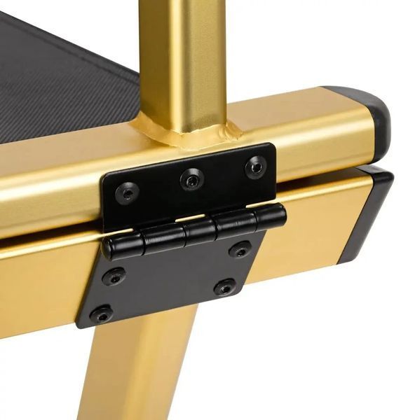 Scaun pliabil Activeshop 123776 Gold/Black, auriu/negr 5779933 foto
